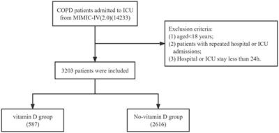 Vitamin D supplementation may be beneficial in improving the prognosis of patients with chronic obstructive pulmonary disease in the intensive care unit: a retrospective study
